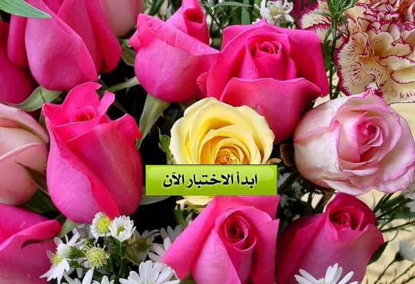 أي نوع من انواع الزهور تناسب شخصيتك ؟